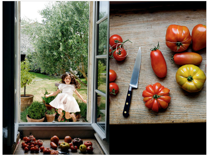 mimi thor windows tomatos