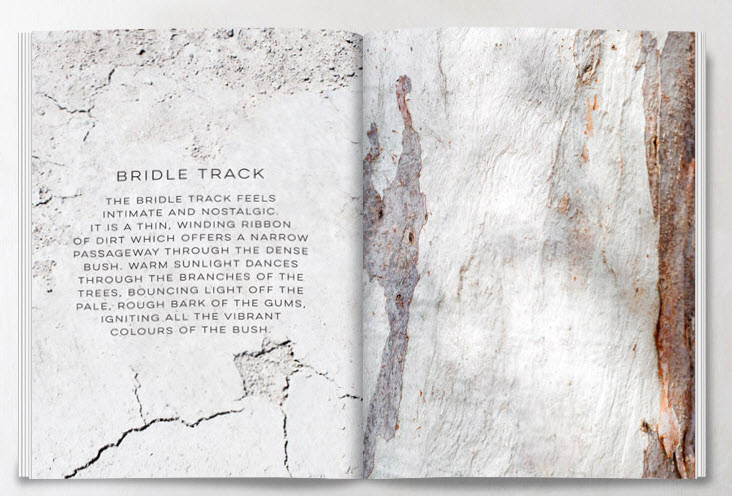 bridle track 2